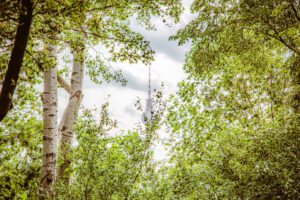 Volkspark Friedrichshain