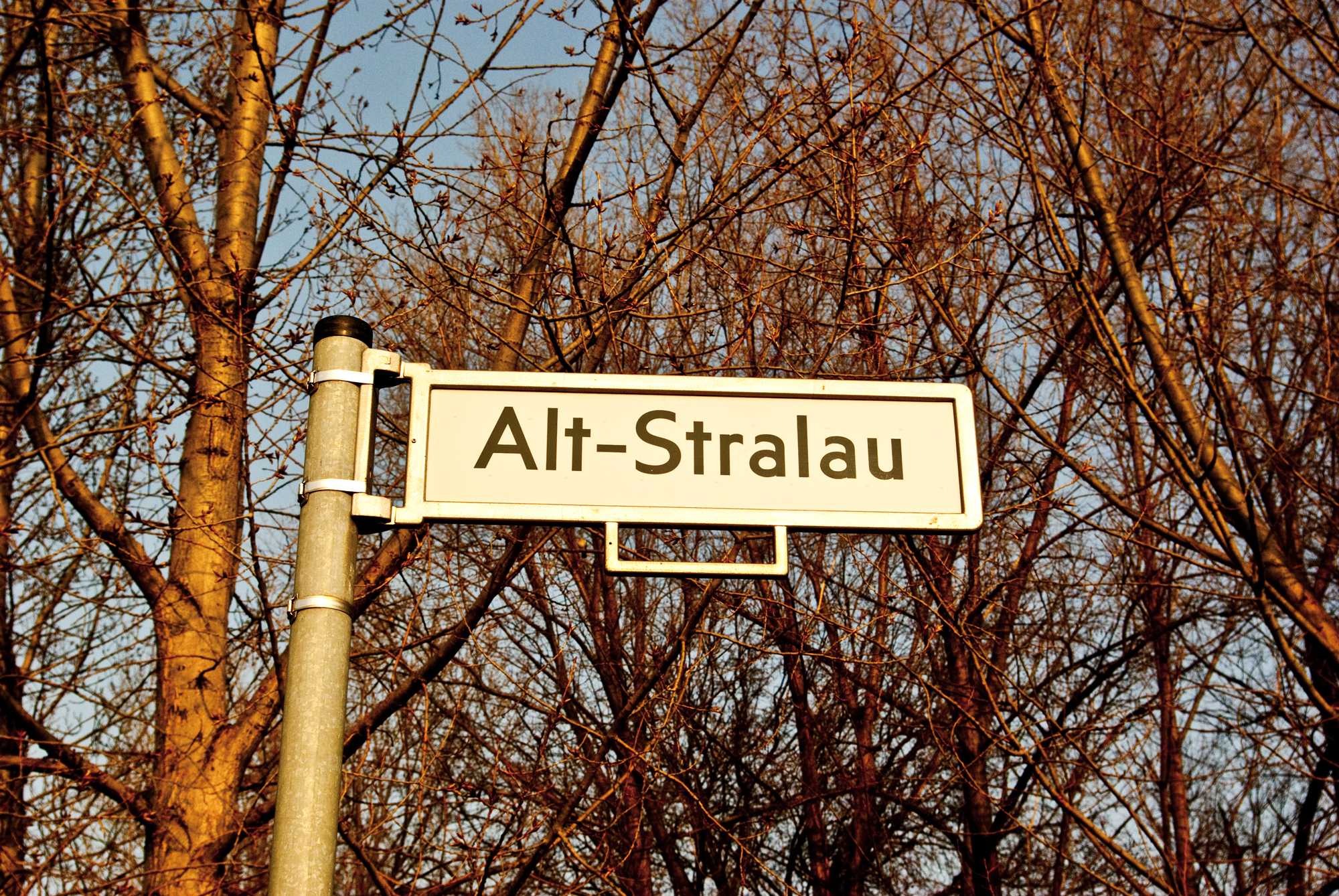Schild mit Straßenname "Alt-Stralau". Im Hintergrund stehen kahle Bäume.